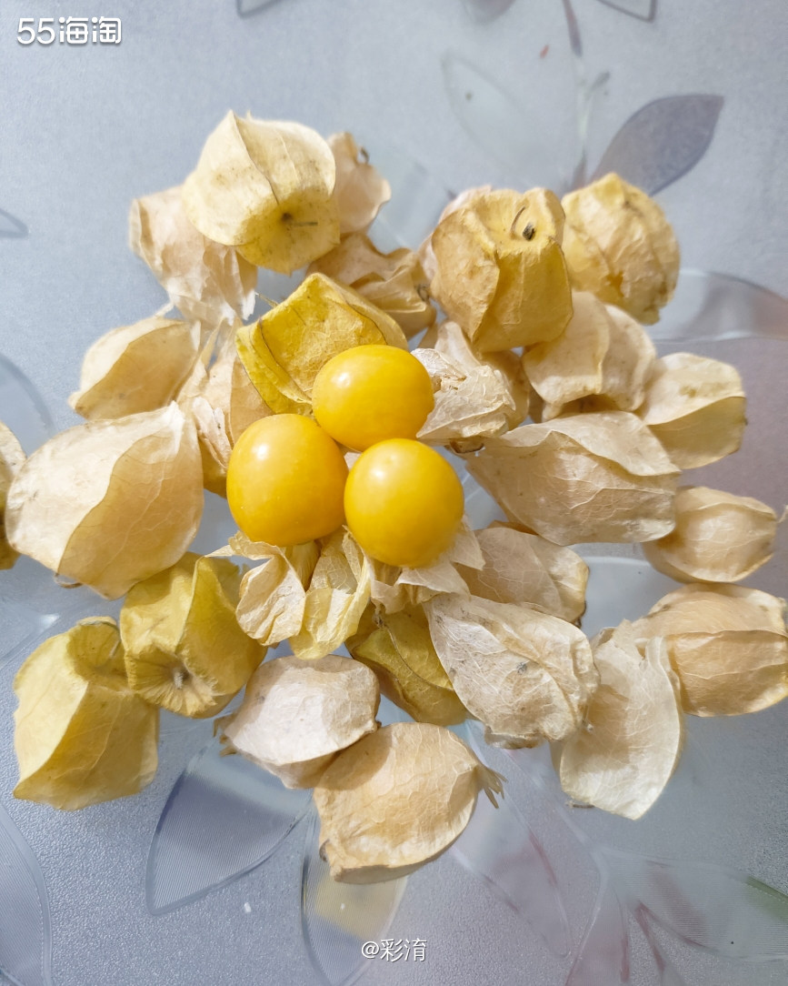 🌸晒一晒我最喜欢吃的水果吧，这个小东西学名叫---菇娘，因