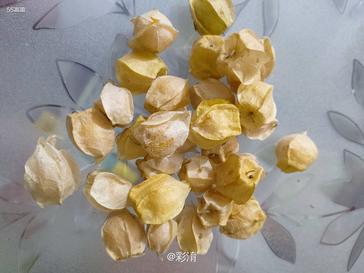 🌸晒一晒我最喜欢吃的水果吧，这个小东西学名叫---菇娘，因