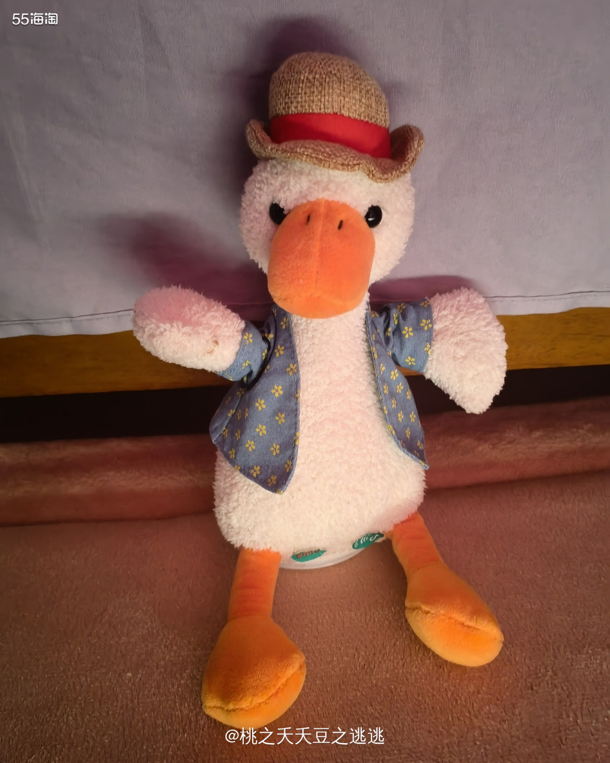 🦆这只小鸭子是我出差的时候给小黑桃买回来的。它除了是一只玩