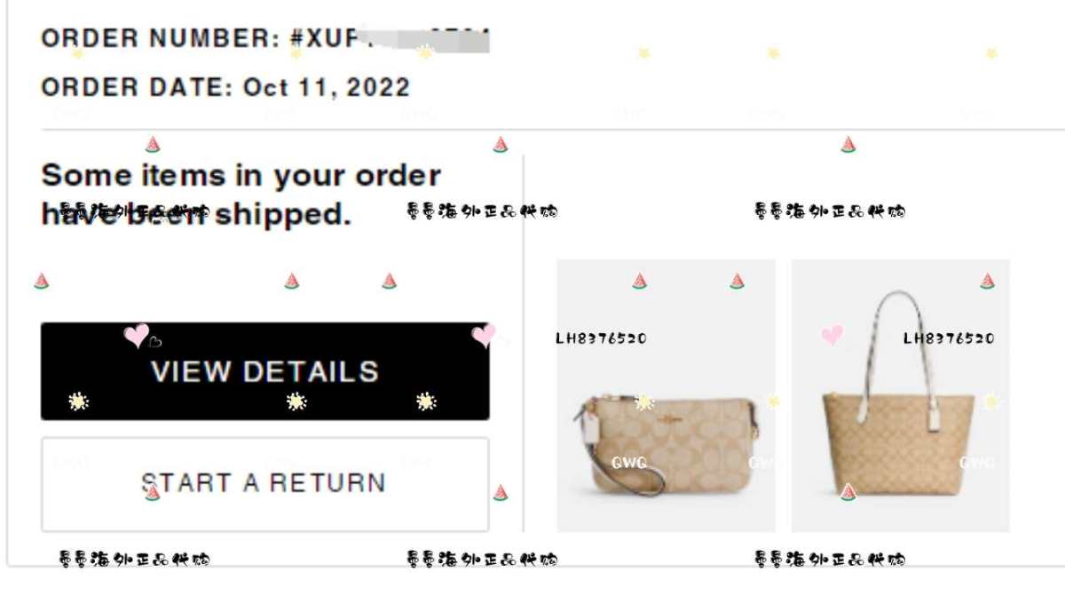 🌻剁手商品:coach zip拉链款30 托特包+ nol