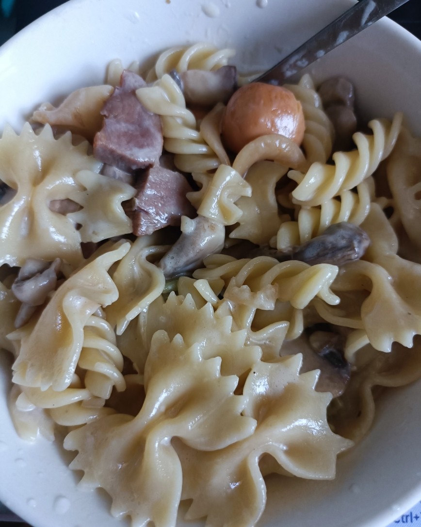 中午在开箱又在剁手，于是中午做个快手食品，奶油蘑菇鸭胸肉蝴蝶