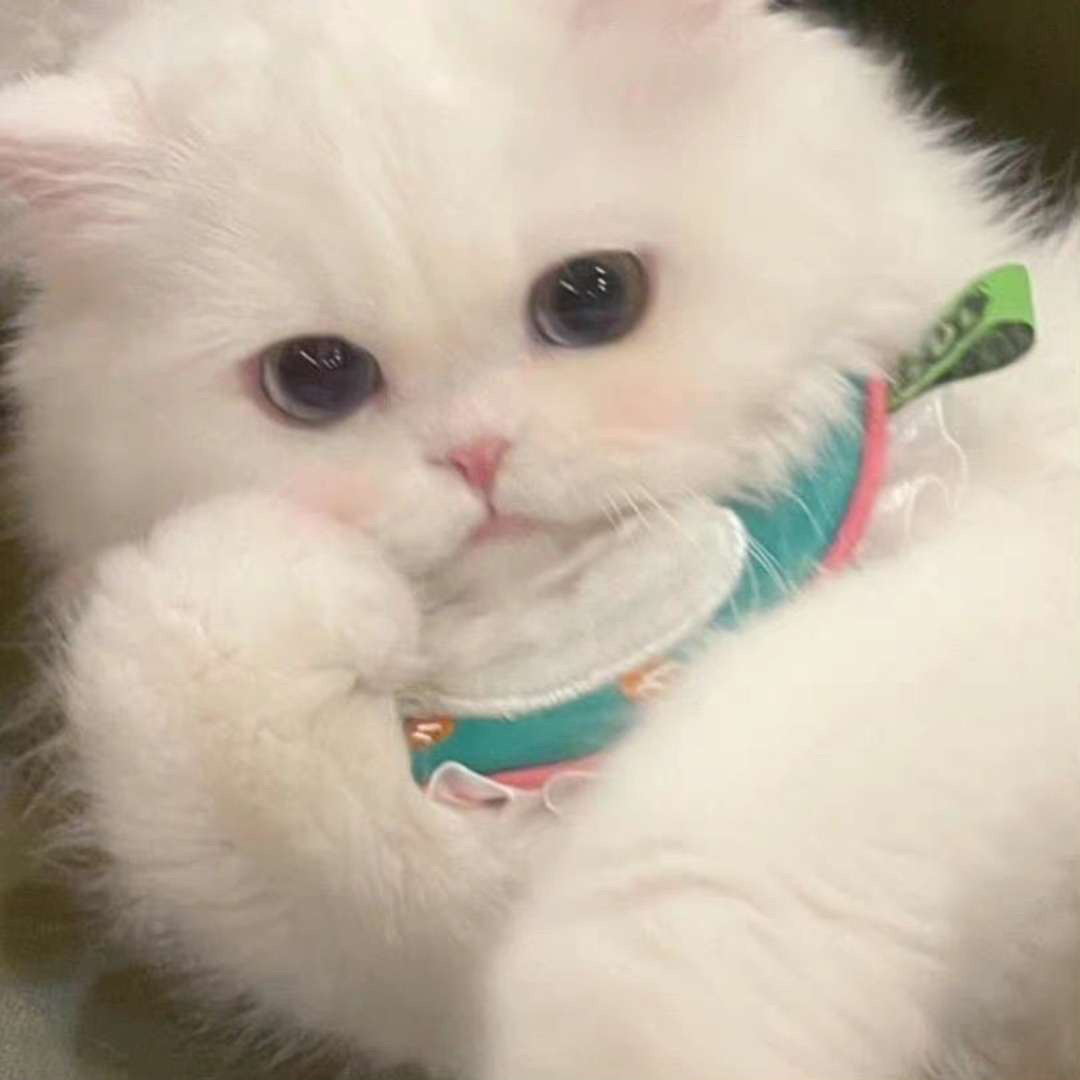 有哪位大佬能分享下转运中国的邀请码，谢谢