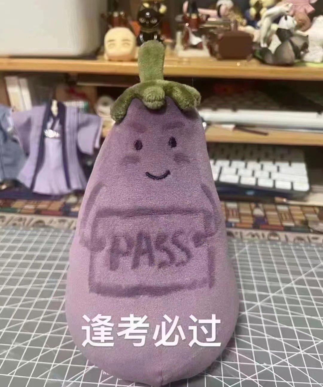 💰139元包邮 网红来啦！买茄子啦！ jellycat最难