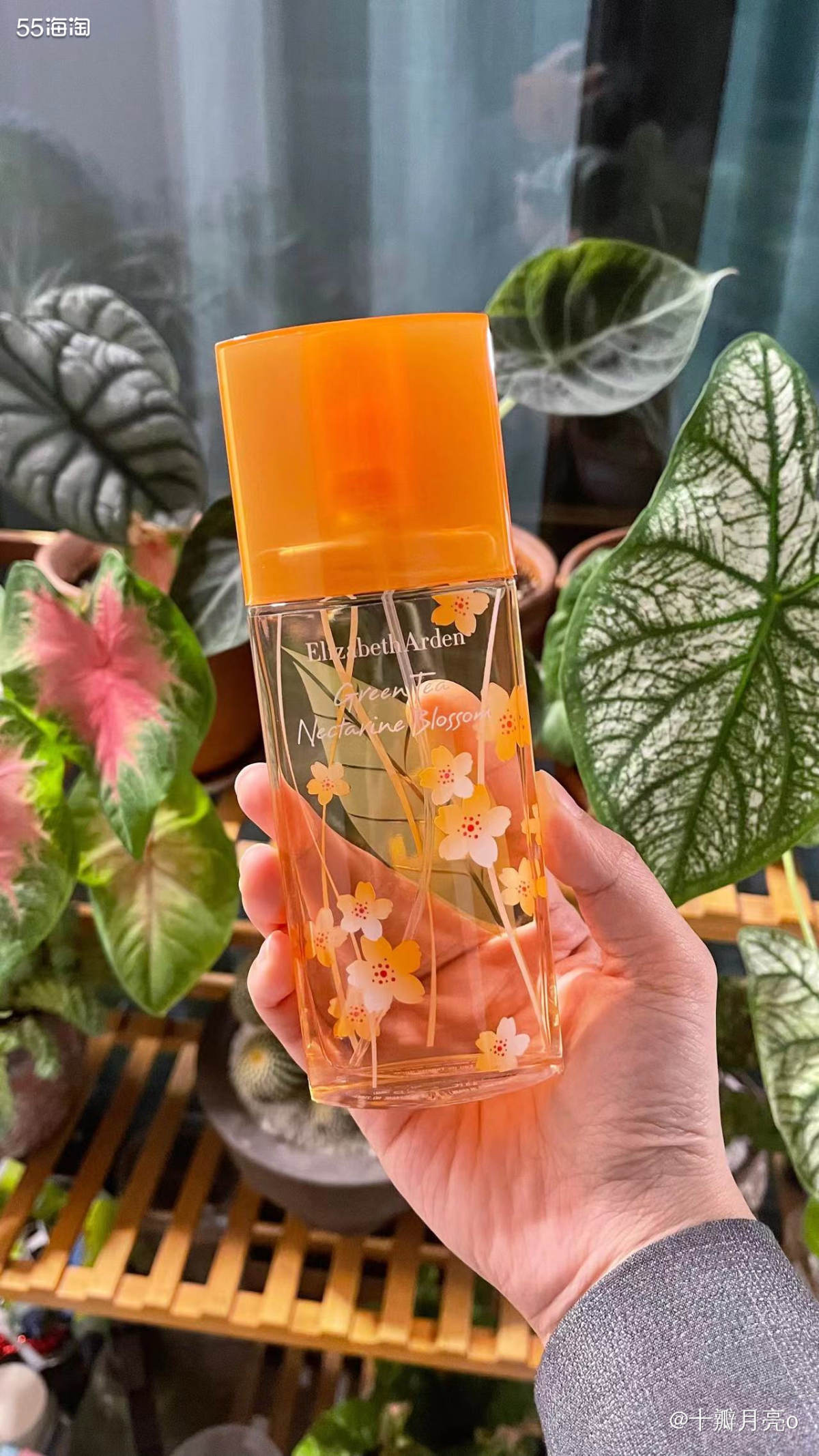 ✅本次战利品 🔸帕尔玛之水：蓝色地中海阿玛菲无花果  15