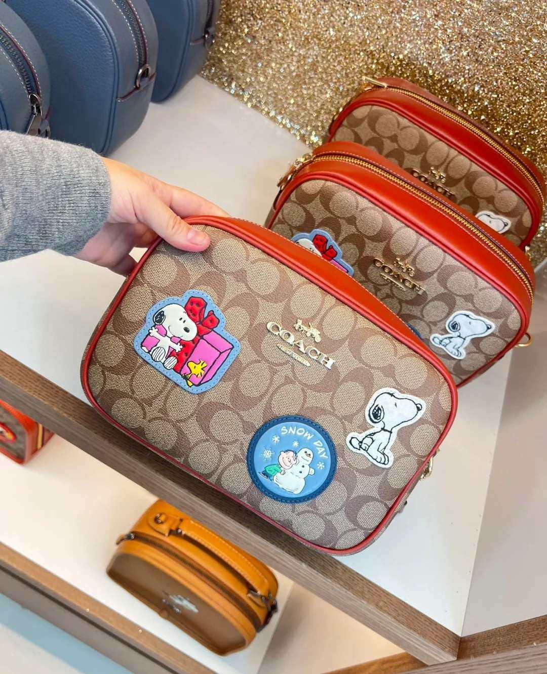 🌻剁手商品:coach Jamie史努比系列相机包 🌻付