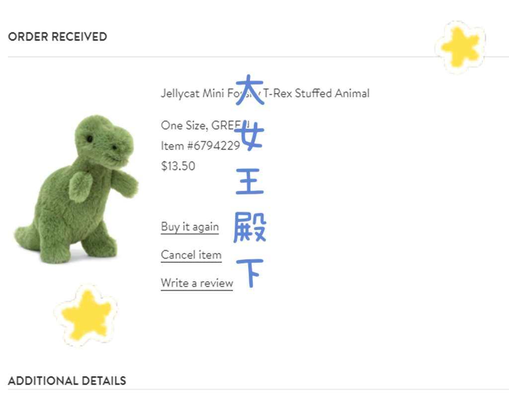 今天买的是jellycat小恐龙 金额是13.5美金 用的国