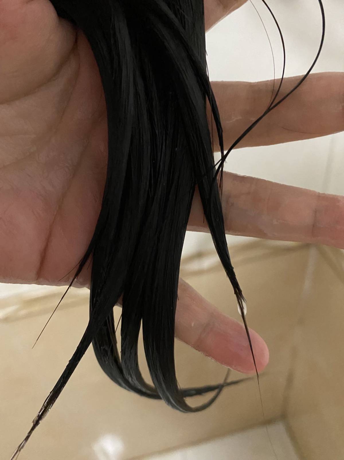 实在是非常非常感谢金主爸爸和55给我这个机会对Vegamou