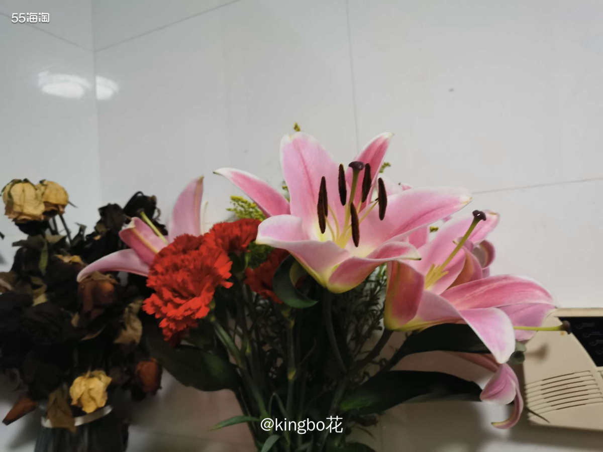 🔴吃甜品使人心情倍儿好，看剧跟小蛋糕更配哦  🔶突然想吃