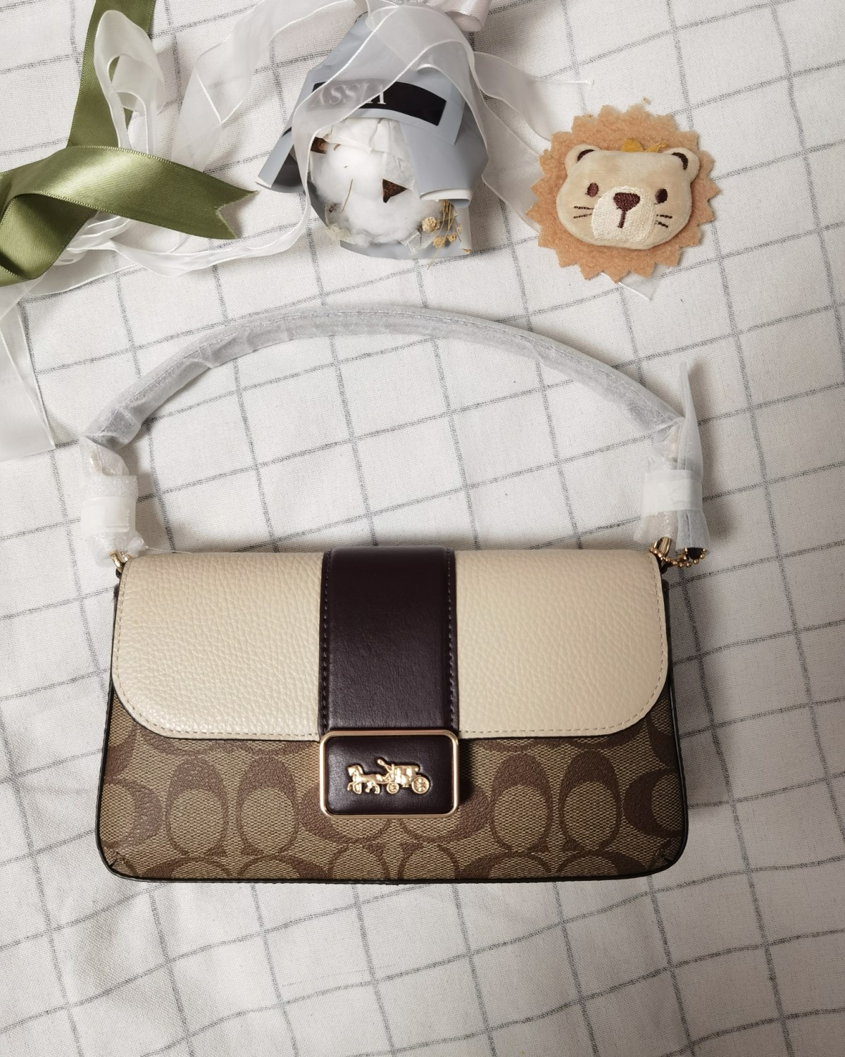 🌟下单网站:Coach奥莱官网  🌟下单价格:160美元