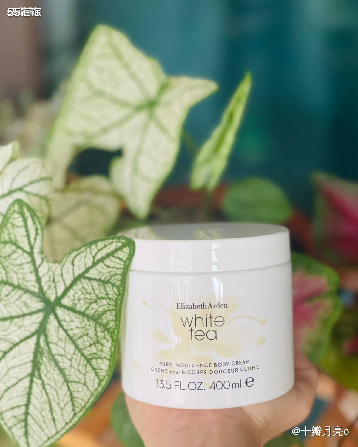 包邮的网站特别适合买这种比较重的东西。 雅顿白茶味儿真的还蛮