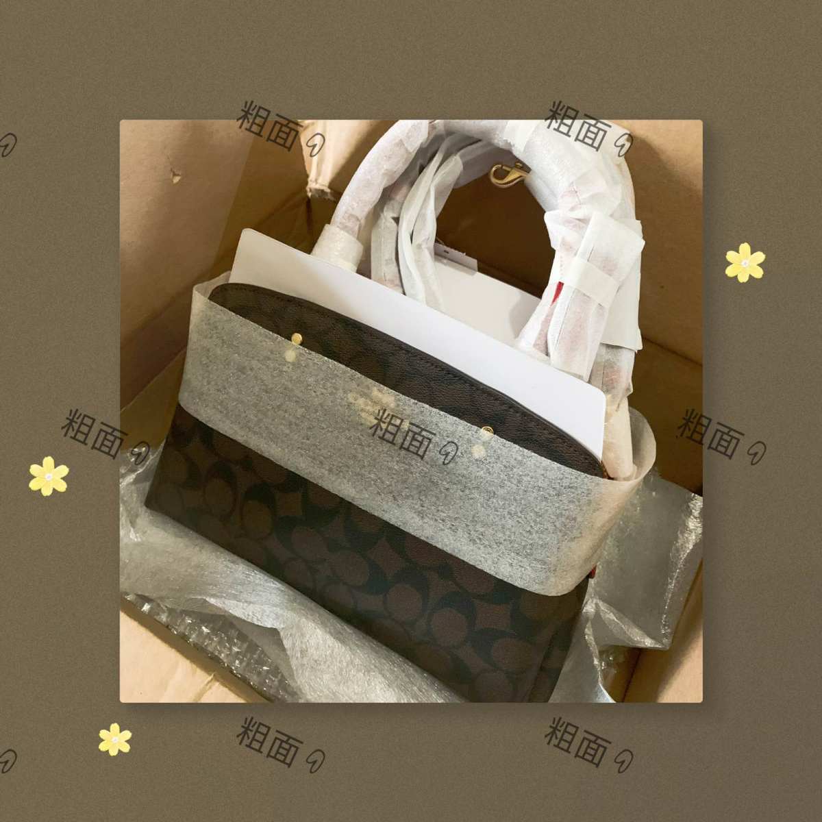 这款是蔻驰系列Lillie小号戴妃包，当时有几个颜色，考虑了