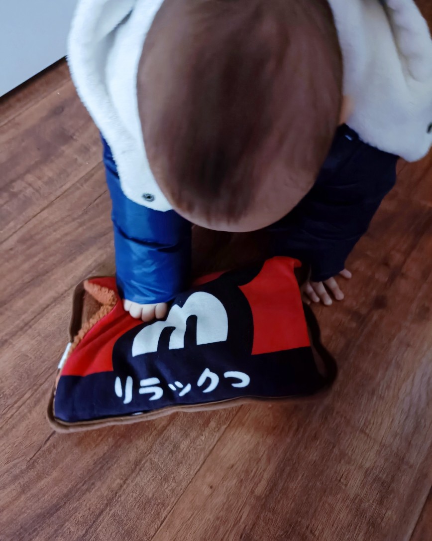 小时候在湖南有用电热毯的习惯，在广东就用不上了，回来湖南带我