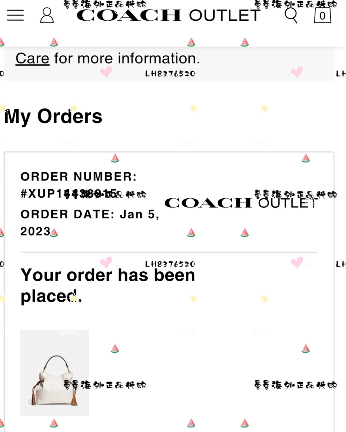 Coach Andy小号福袋包  下单时间:2023.1.0