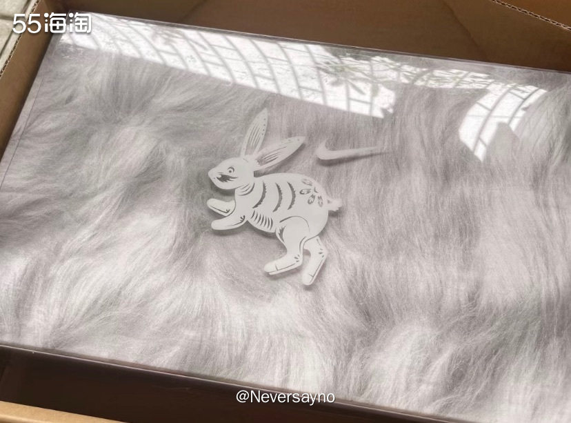 🐰 nike Dunk 城市限定摩卡兔球鞋还挺耐看的  ▪