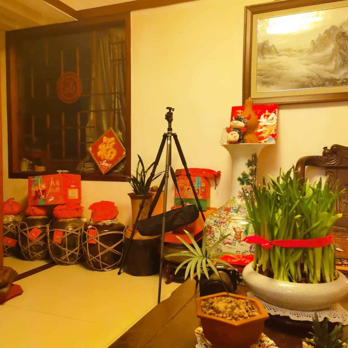 今年的年夜饭，是到我爸爸妈妈家吃~外面定位好分两轮，5点开始