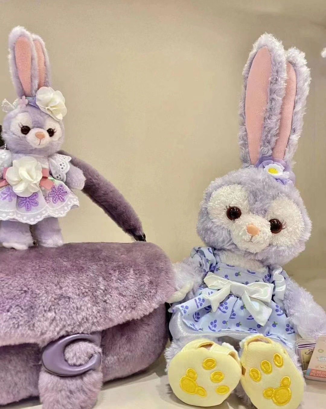 骨折预定💰2350元包邮，专柜5600 Coach｜全北美