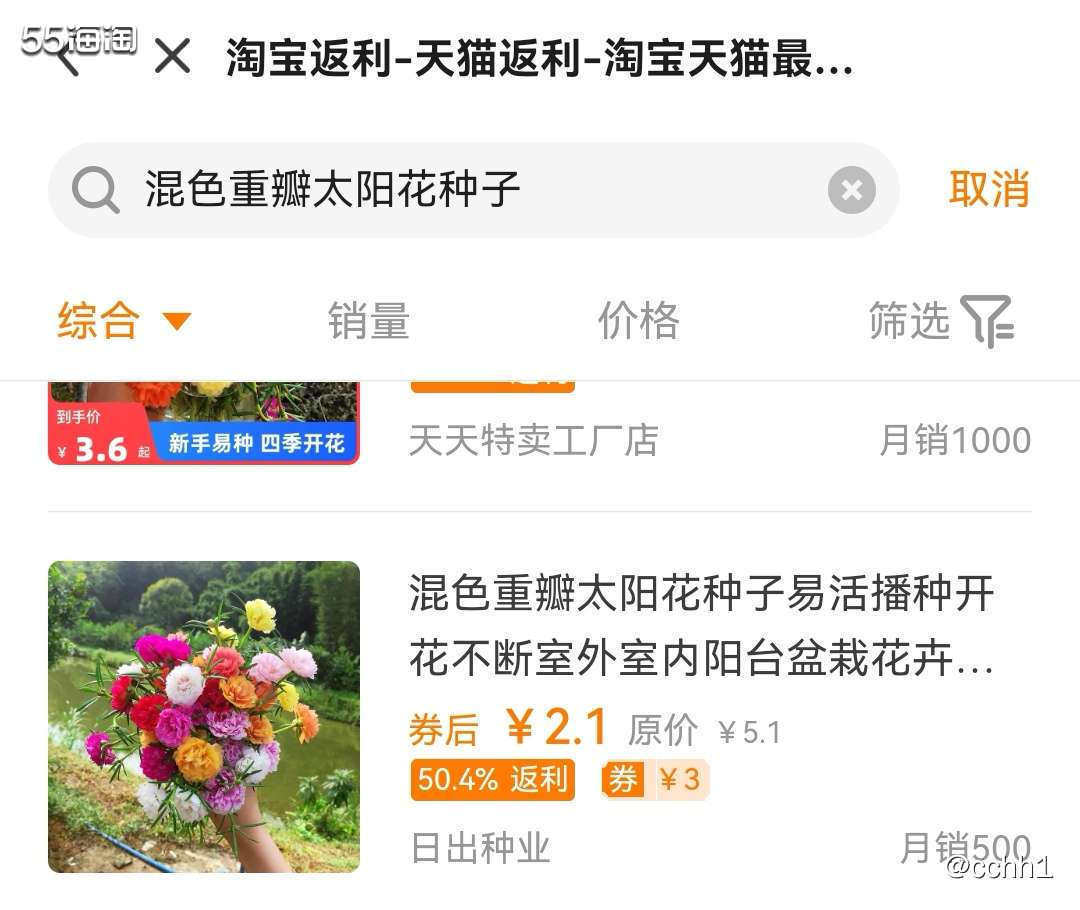 桑格花适合种路边或者花坛里  之前见街道路边有种 感觉也挺好