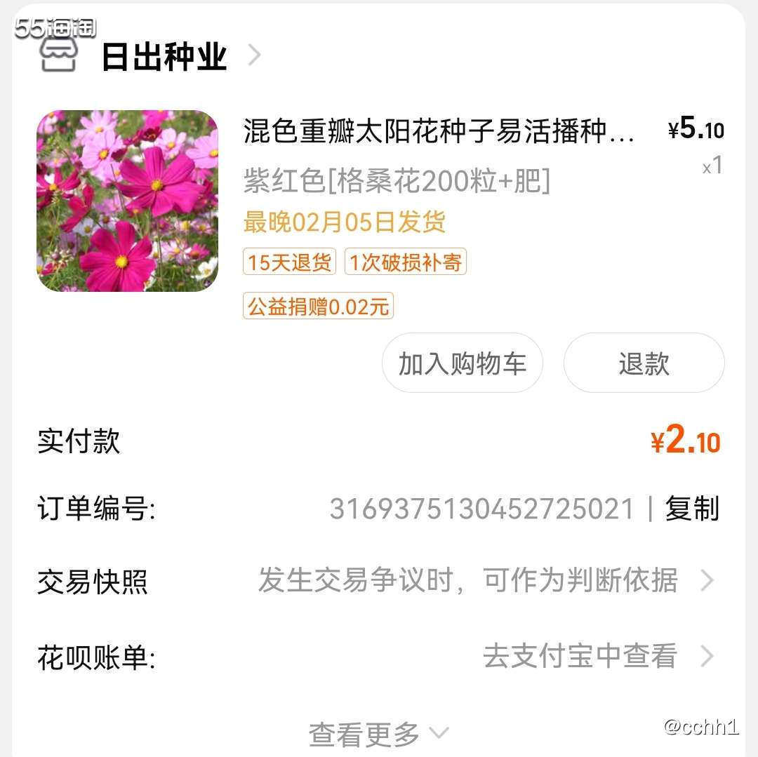 桑格花适合种路边或者花坛里  之前见街道路边有种 感觉也挺好