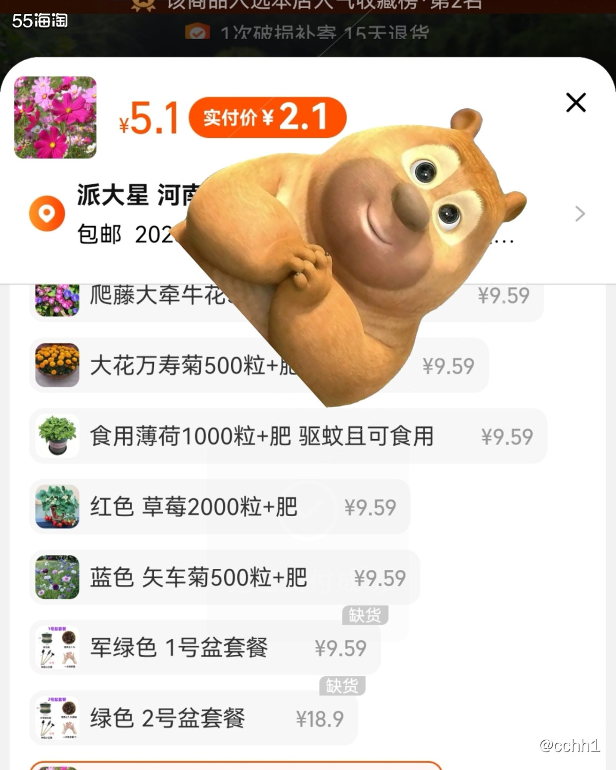 桑格花适合种路边或者花坛里  之前见街道路边有种 感觉也挺好