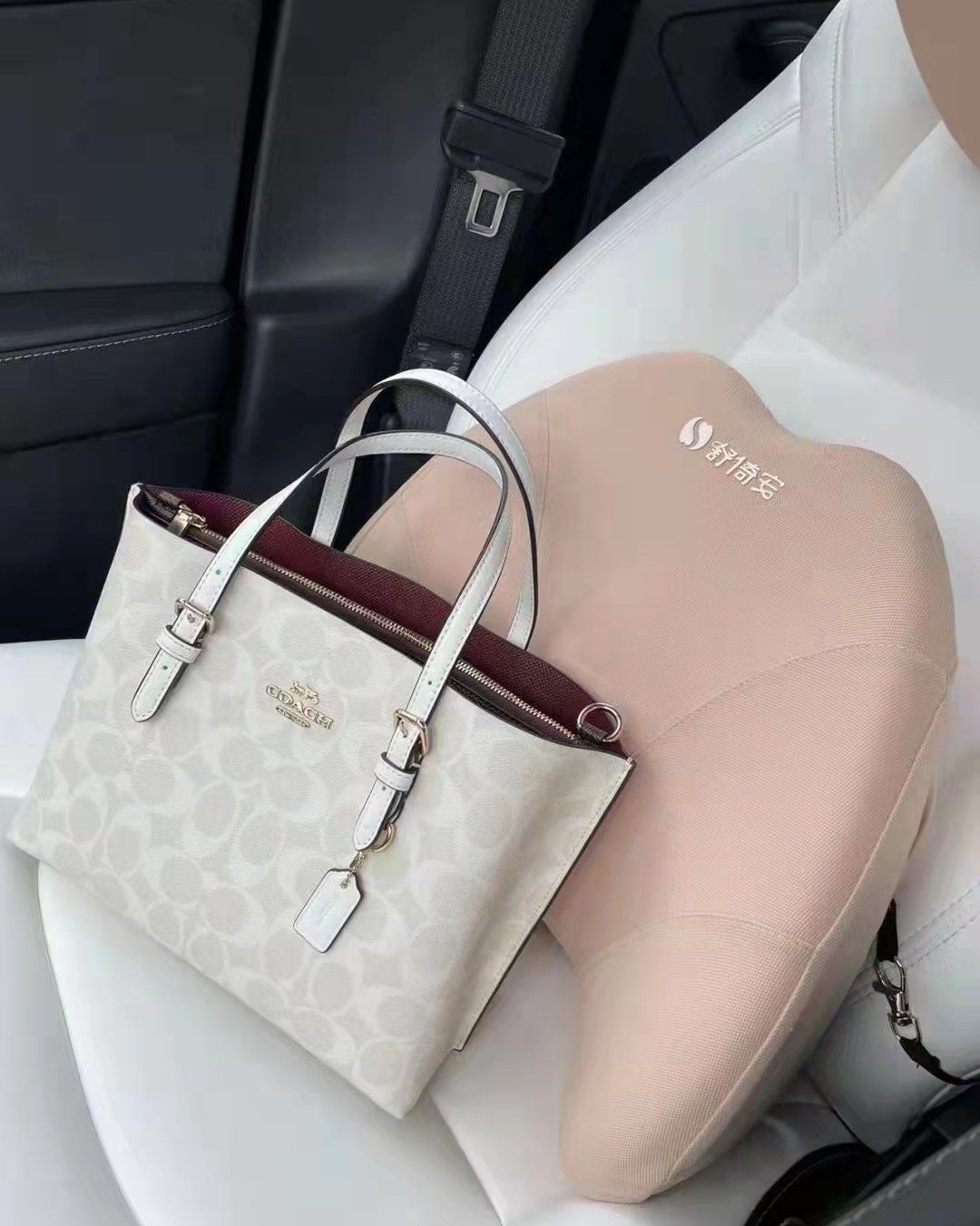 Coach Mollie tote 25 托特包（冰川白Lo