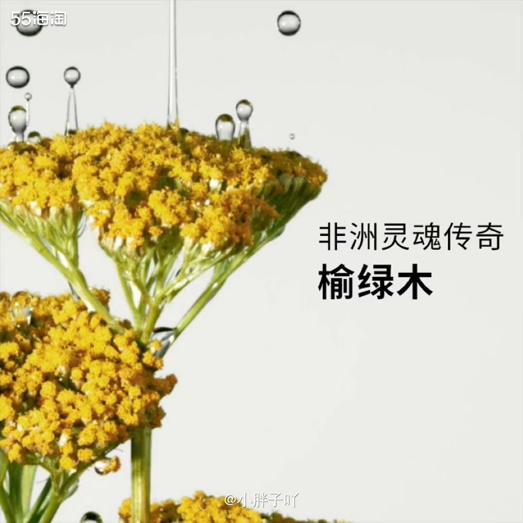 我先简单带一句它家的眼霜精华，不然我怕忘记说了😂榆绿木抗老