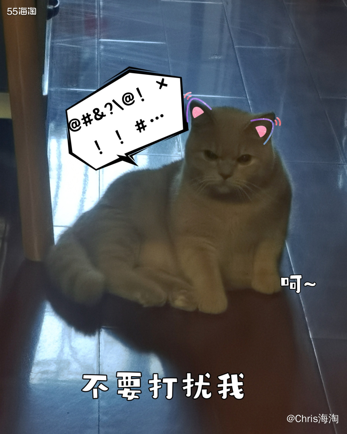 平台：淘宝  店铺：wanpy顽皮旗舰店 购买产品：170g