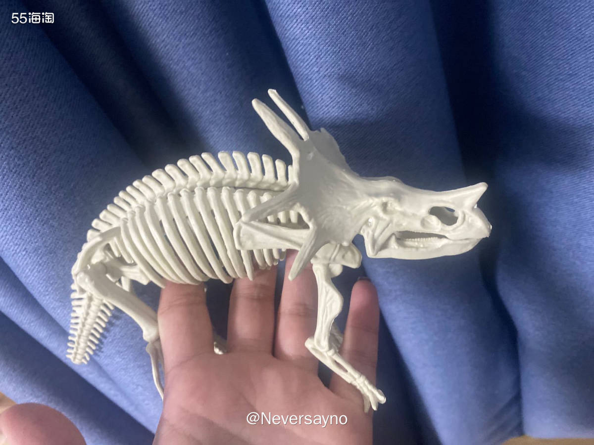 📦恐龙化石考古套装真的挺好玩的，下单还有反粒  ▪️前几天