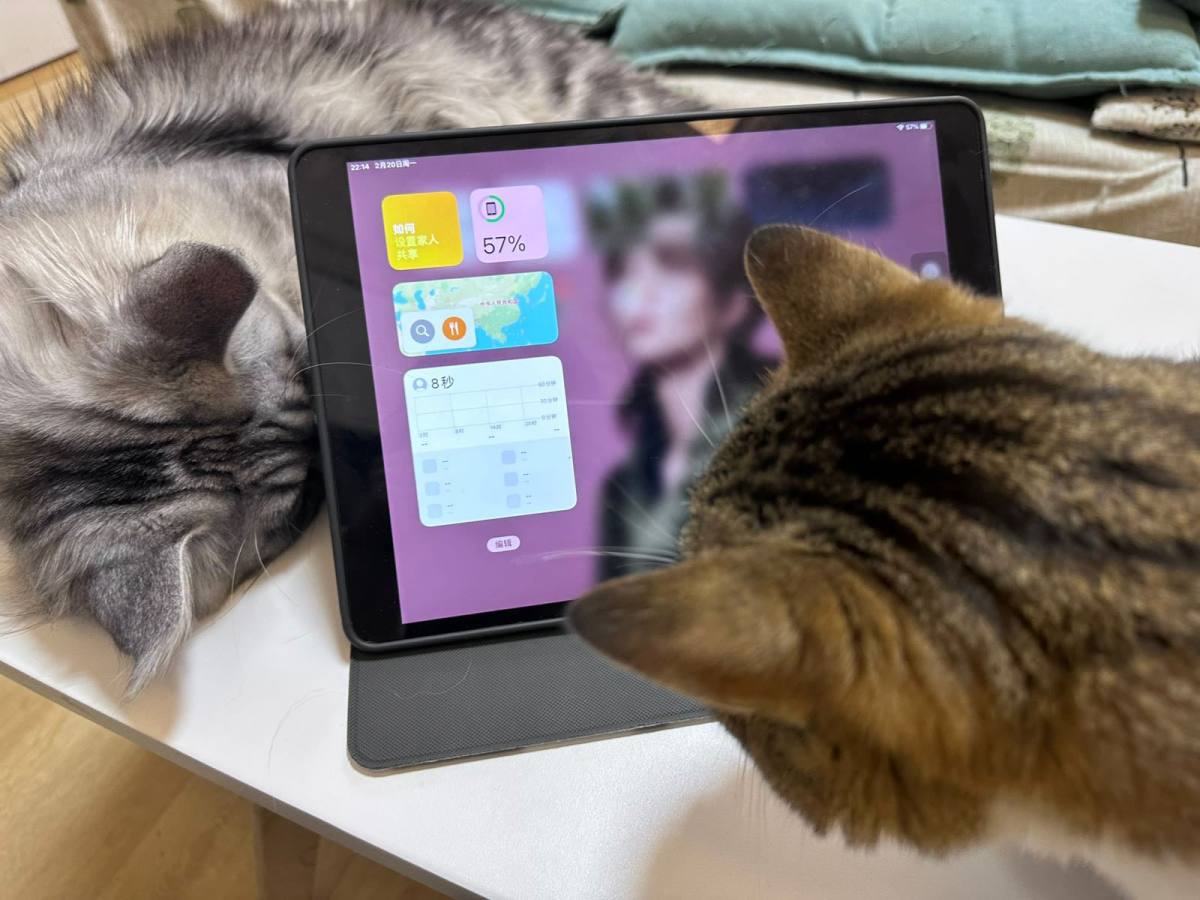 电子设备玩家大多都会入一款平板吧🤔 这款三代是我2019年