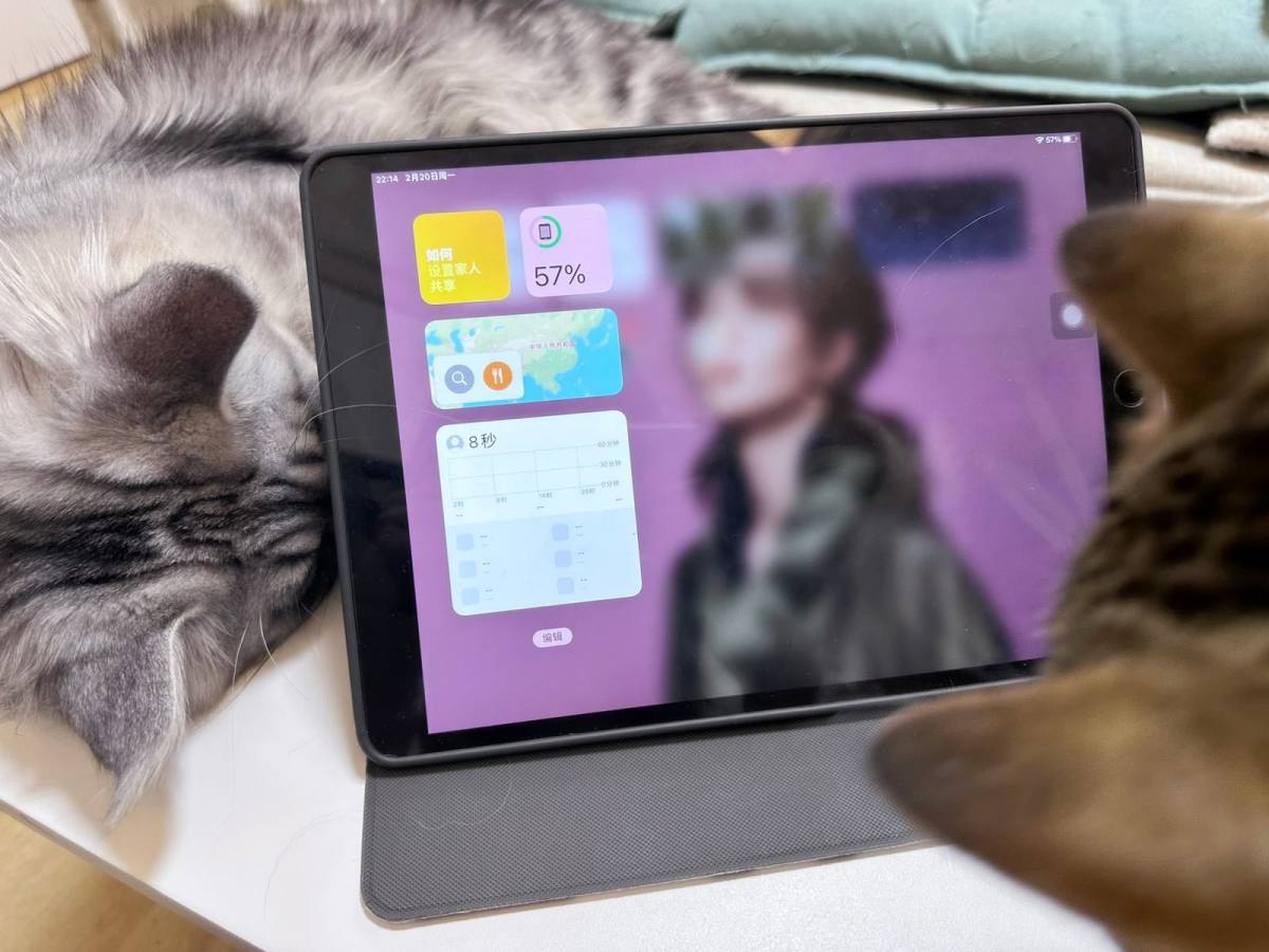 电子设备玩家大多都会入一款平板吧🤔 这款三代是我2019年