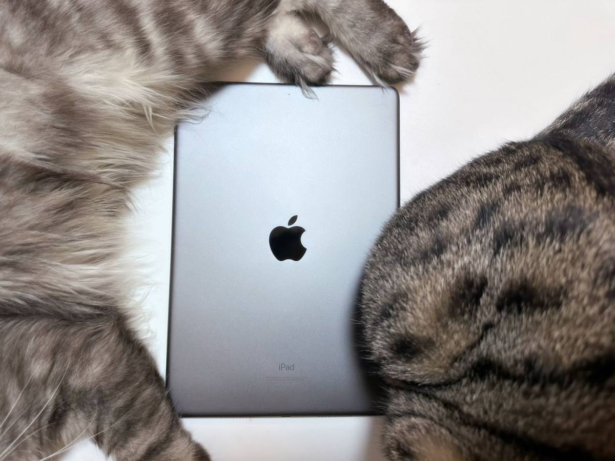 电子设备玩家大多都会入一款平板吧🤔 这款三代是我2019年