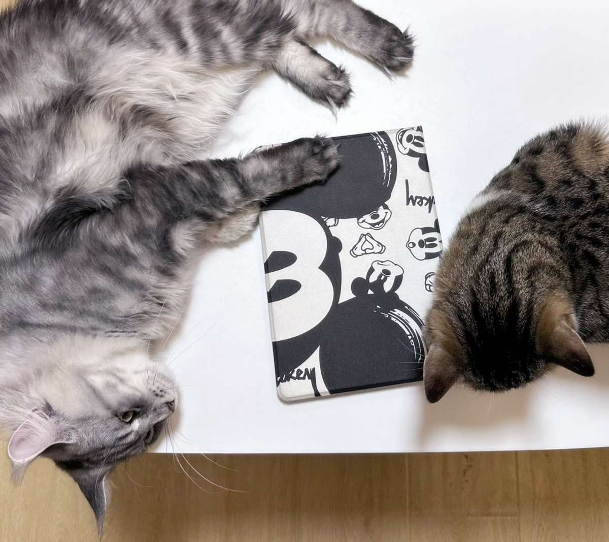 电子设备玩家大多都会入一款平板吧🤔 这款三代是我2019年