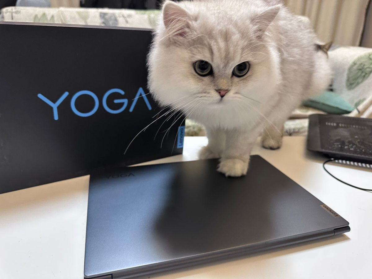 打工人必备的打工本，我选了联想yoga14s👩🏻‍💻，