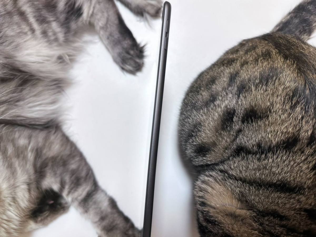 电子设备玩家大多都会入一款平板吧🤔 这款三代是我2019年