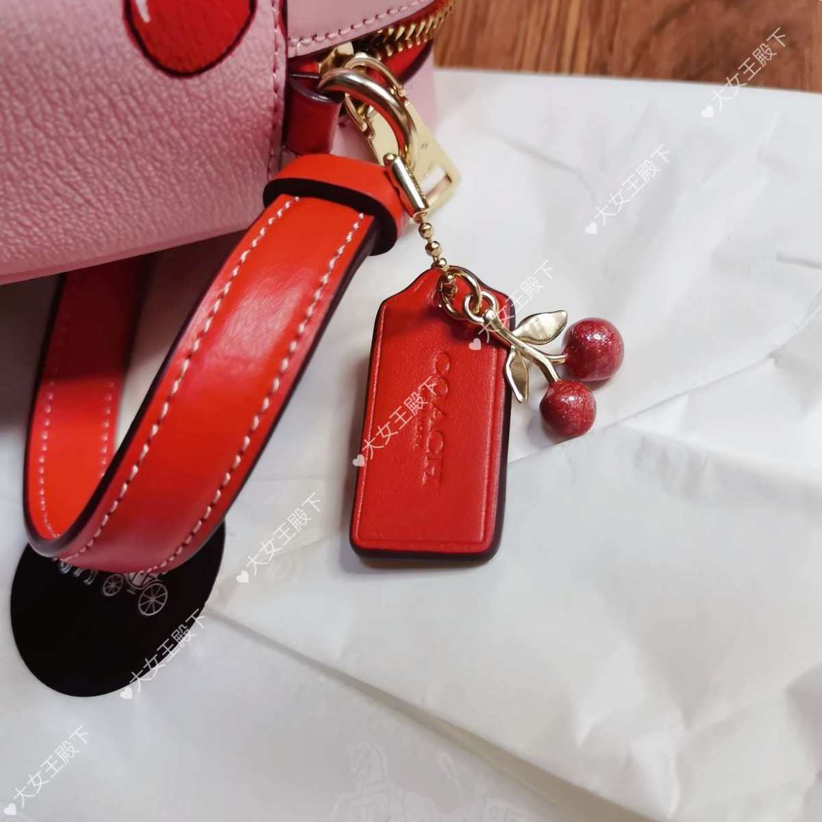 ☑️开箱 coach樱桃相机包小号  ☑️下单地/价格 co