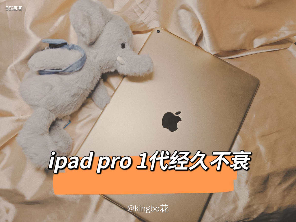 🔴1代Ipad pro经久不衰，自配键盘可当便携笔记本使用