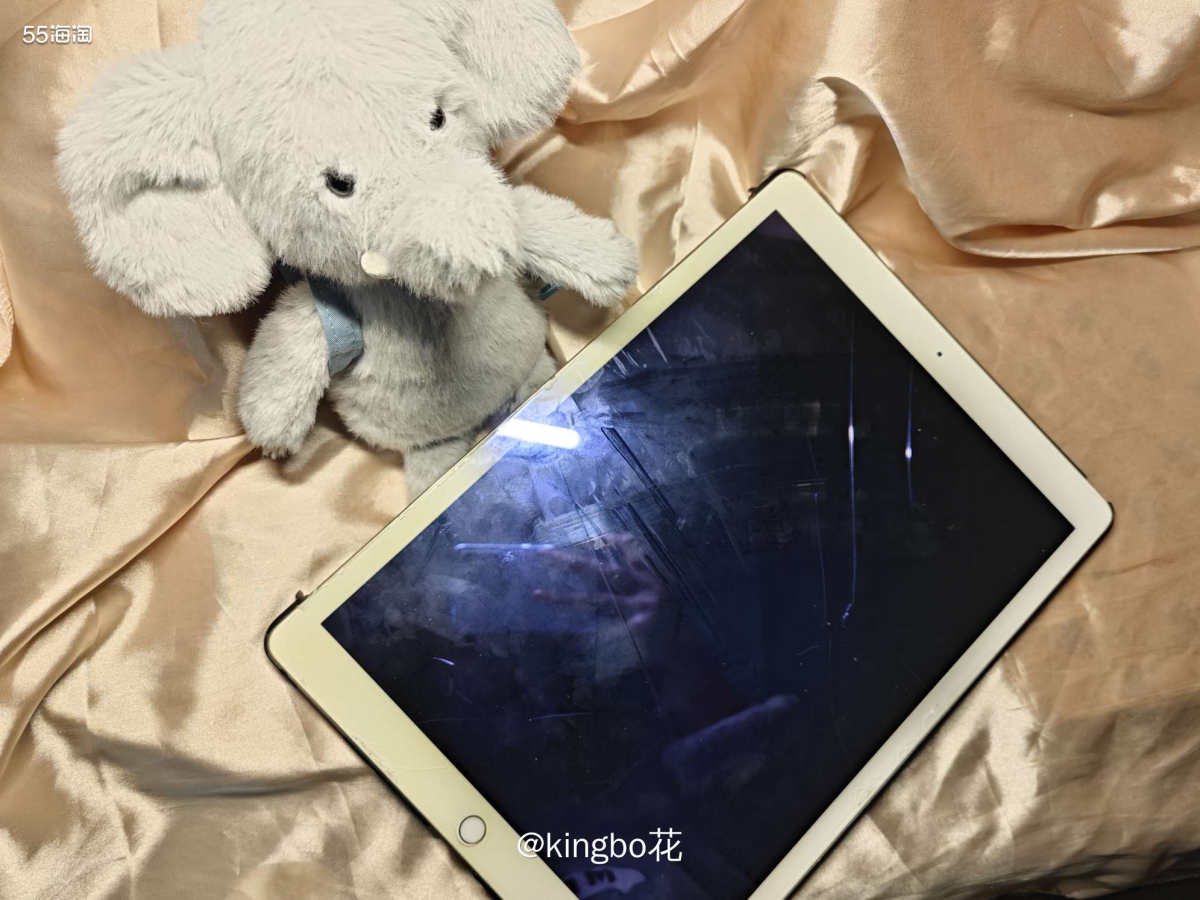 🔴1代Ipad pro经久不衰，自配键盘可当便携笔记本使用