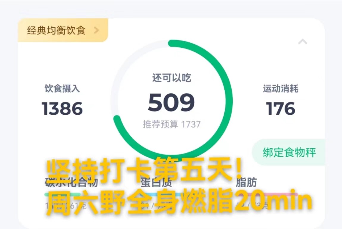 今天吃得非常健康 外加辅助的运动，做的是周六野的去按很燃脂2