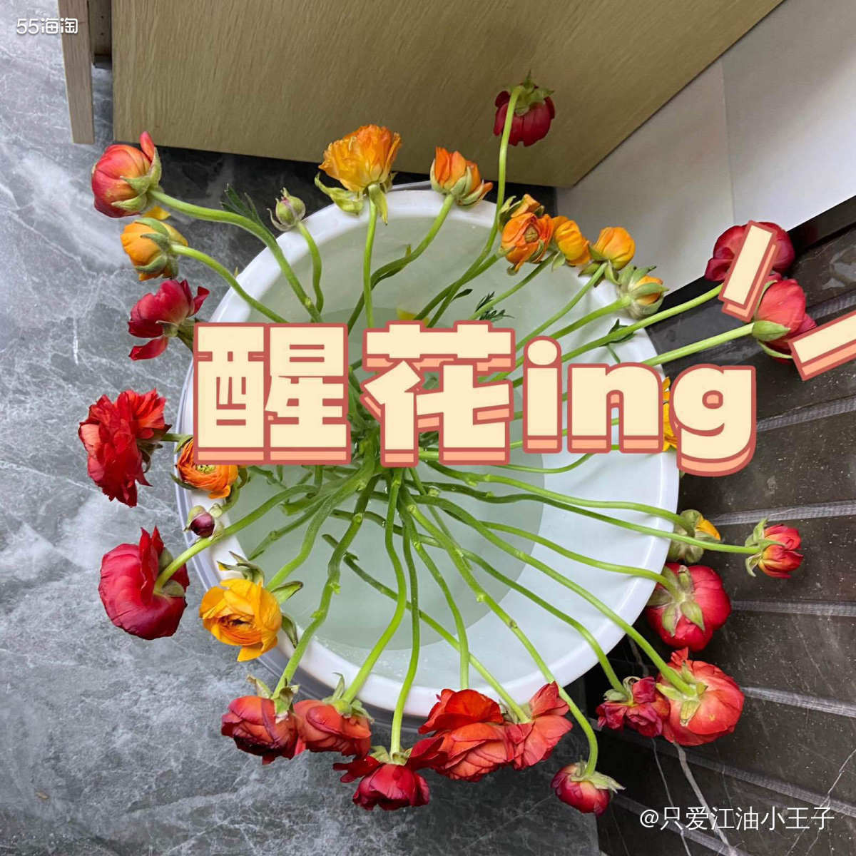 🌸要说春天时间才大量上市的花花是哪种？那必定是洋牡丹了，其