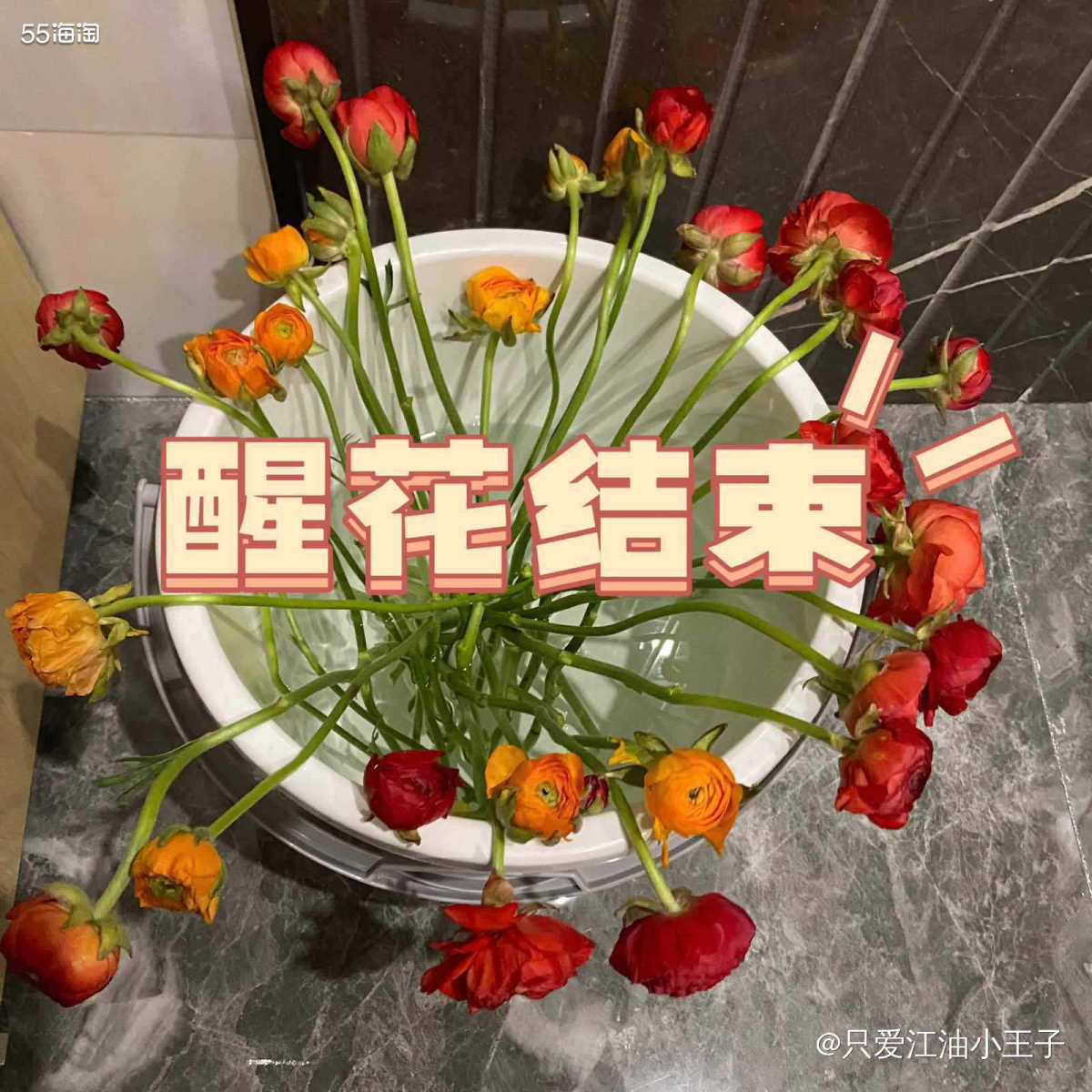 🌸要说春天时间才大量上市的花花是哪种？那必定是洋牡丹了，其