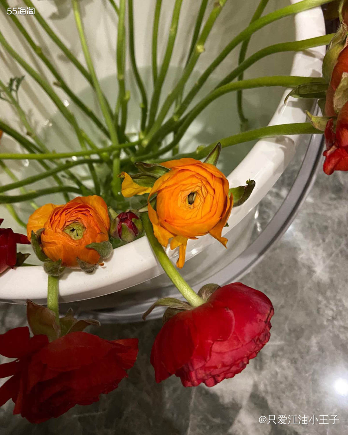 🌸要说春天时间才大量上市的花花是哪种？那必定是洋牡丹了，其