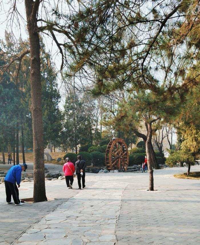 周六啦，天气不错，出去溜达溜达吧！ 今天去逛了大观园，这里不