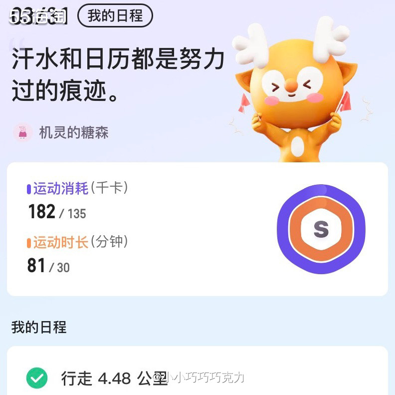 天气终于放晴啦，可以出去活动了，所以今天就和我家先生出去散步