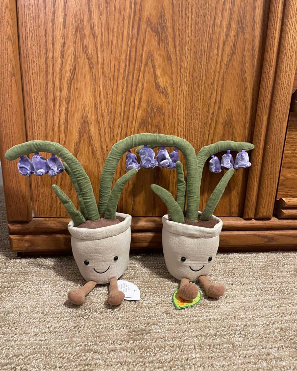 巴塞罗熊 ⭐⭐⭐⭐⭐ 老网红了，买就对了！后悔没有卖大号，转