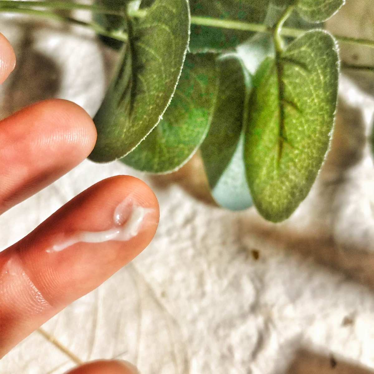打卡护肤第六天啦！每天都使用的眼霜有什么区别，早晚还是可以用