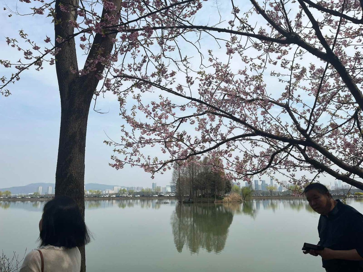 🐒行程安排 1️⃣鼋头渚门票90元 周五晚上与朋友自驾从南