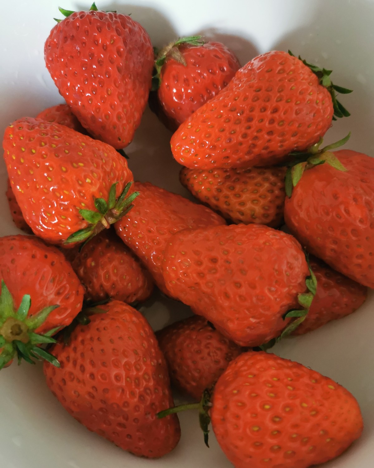 嘤嘤嘤，不知道大家还记不记得我前些时候发的摘草莓帖子，冤大头