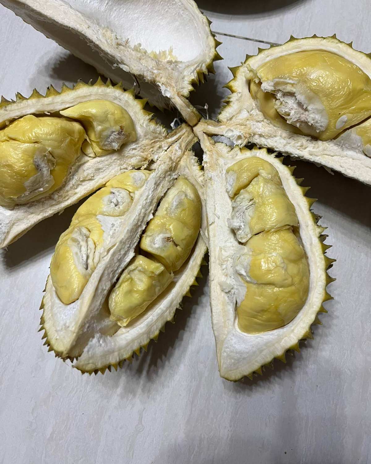 🧸作为一名榴莲爱好者，小众榴莲那必须买，前两天买的泰国空运