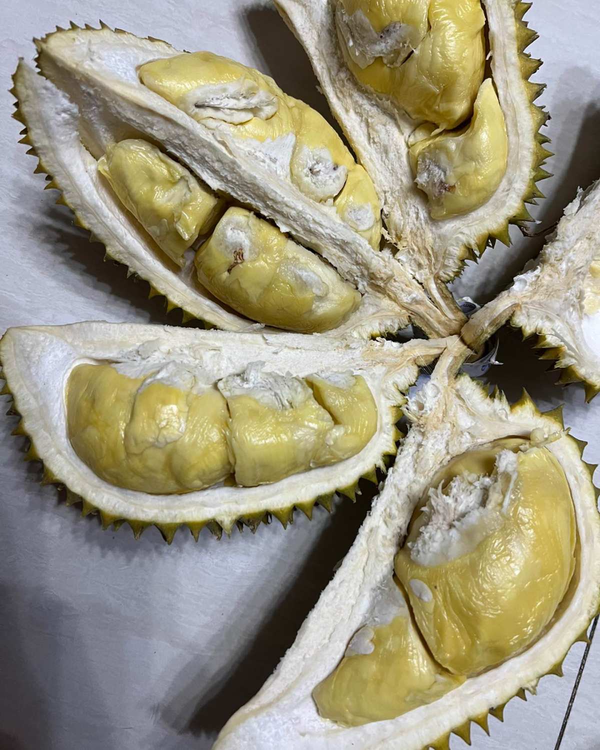 🧸作为一名榴莲爱好者，小众榴莲那必须买，前两天买的泰国空运