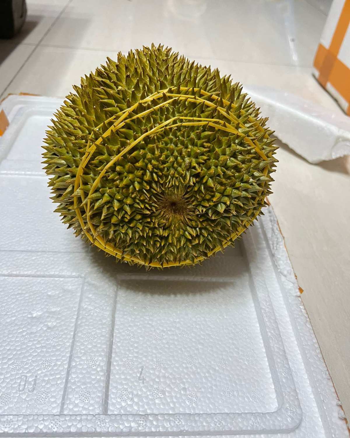 🧸今天又来开榴莲了，今天开的是尖竹汶1号，果形太优秀了，球