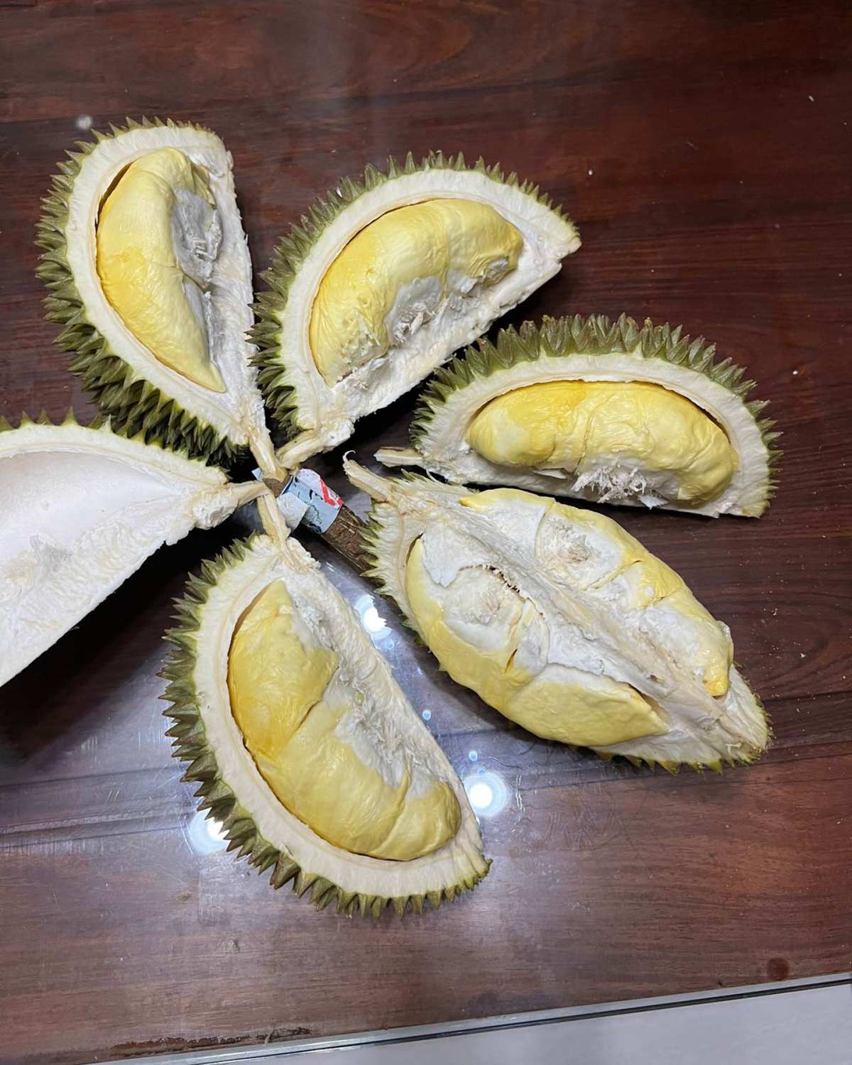 🧸前两天开的长柄猫山王榴莲，一直没分享味道，今天说说长柄的